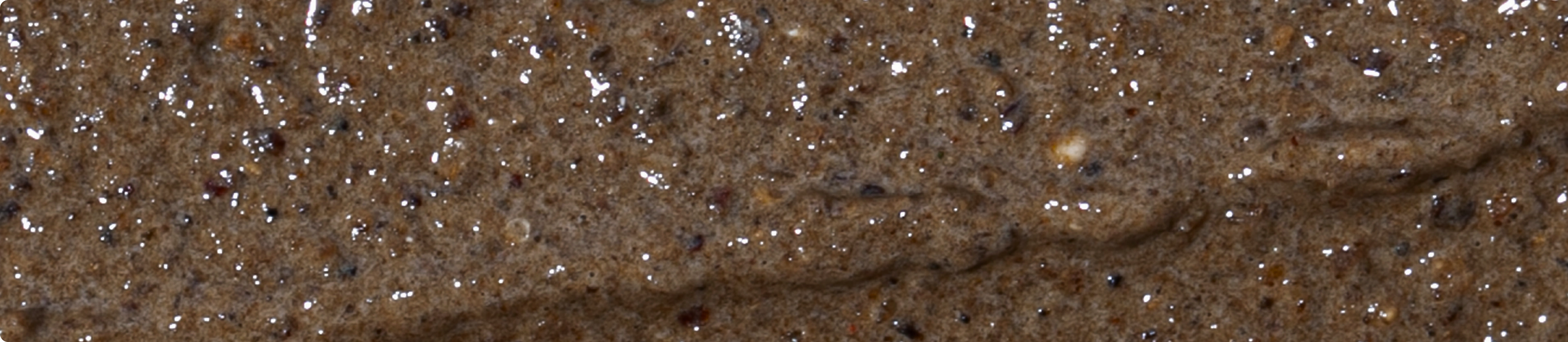 deep-sea-higher-res.webp