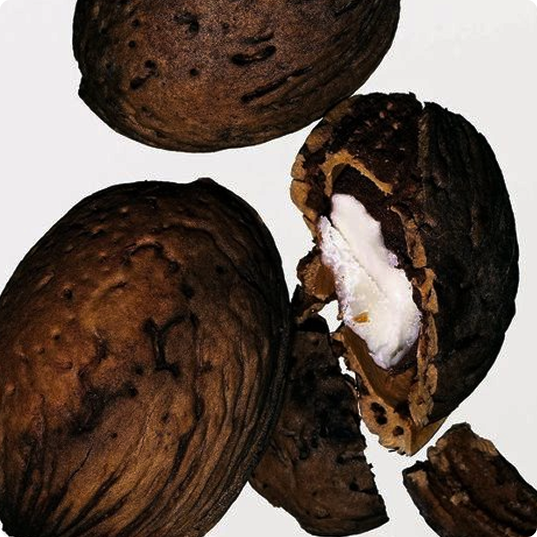 image_4.png