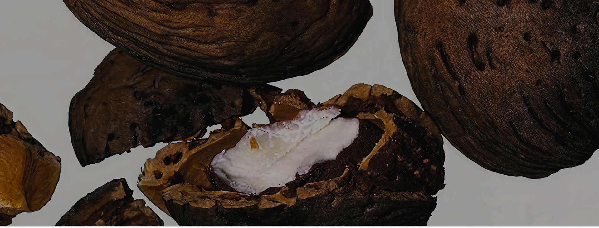 image_7.png